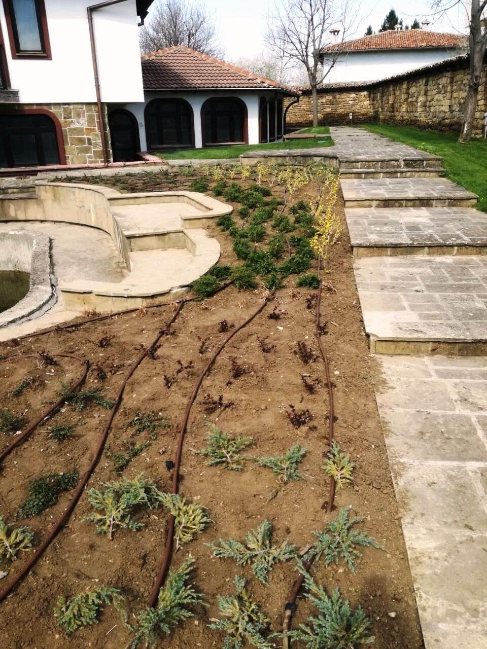 Снимки Галерия